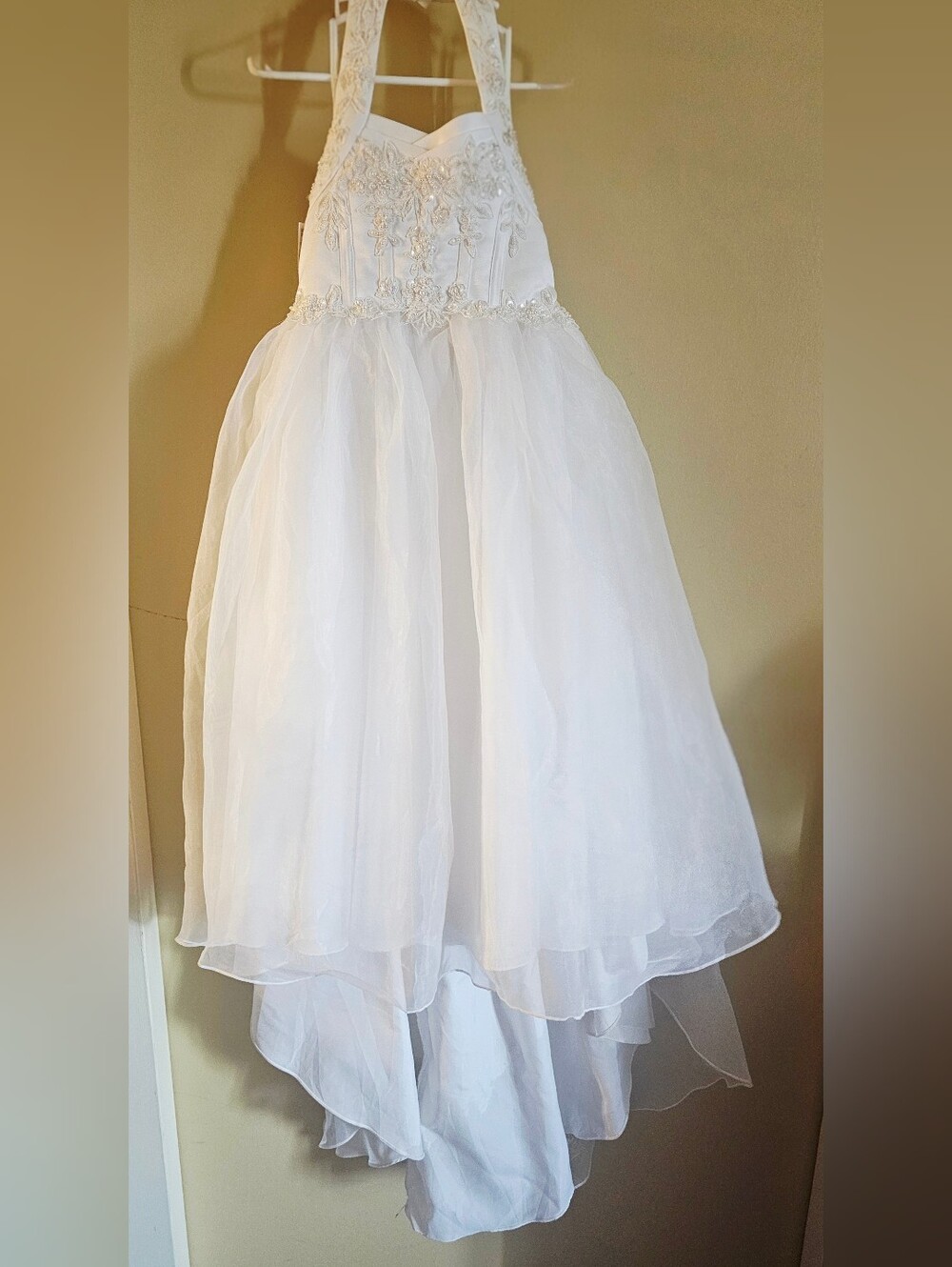Flower Girl Dress ( Davids Bridal )